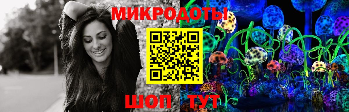 Туапсе  Псилоцибиновые грибы Psilocybine cubensis  купить наркоту  Вход с VPN  Галлюциногенные грибы мицелий 